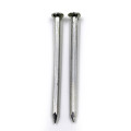 Galvanized Concrete Steel Nails